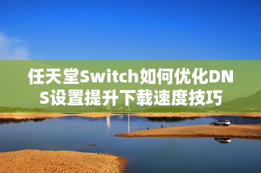 任天堂Switch如何优化DNS设置提升下载速度技巧