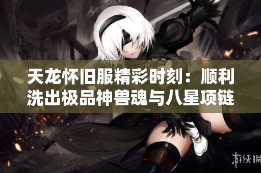 天龙怀旧服精彩时刻：顺利洗出极品神兽魂与八星项链！