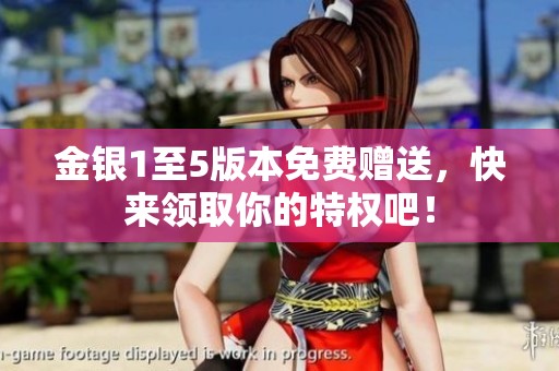 金银1至5版本免费赠送，快来领取你的特权吧！