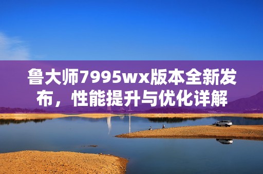 鲁大师7995wx版本全新发布，性能提升与优化详解