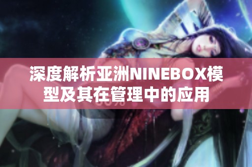 深度解析亚洲NINEBOX模型及其在管理中的应用