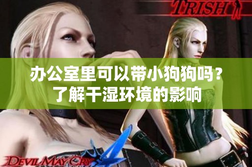 办公室里可以带小狗狗吗？了解干湿环境的影响