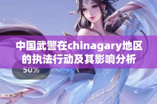 中国武警在chinagary地区的执法行动及其影响分析