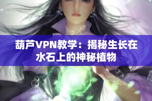 葫芦VPN教学：揭秘生长在水石上的神秘植物