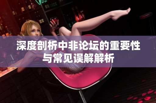 深度剖析中非论坛的重要性与常见误解解析