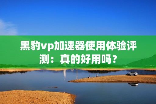 黑豹vp加速器使用体验评测：真的好用吗？