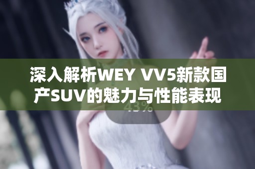 深入解析WEY VV5新款国产SUV的魅力与性能表现