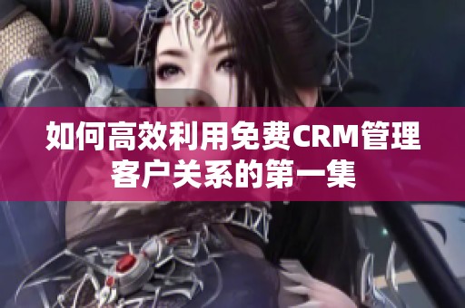 如何高效利用免费CRM管理客户关系的第一集