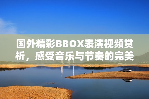 国外精彩BBOX表演视频赏析，感受音乐与节奏的完美结合