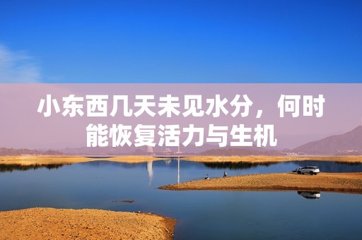 小东西几天未见水分，何时能恢复活力与生机