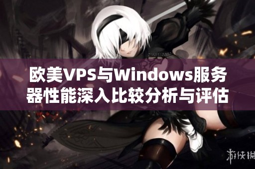 欧美VPS与Windows服务器性能深入比较分析与评估