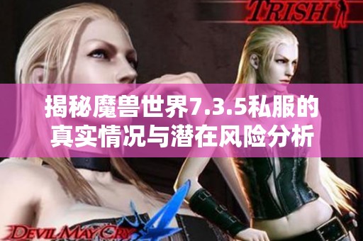 揭秘魔兽世界7.3.5私服的真实情况与潜在风险分析