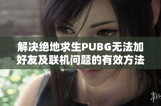 解决绝地求生PUBG无法加好友及联机问题的有效方法解析