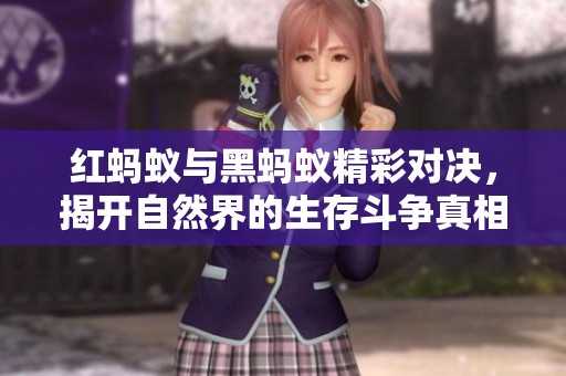 红蚂蚁与黑蚂蚁精彩对决，揭开自然界的生存斗争真相