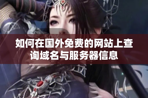 如何在国外免费的网站上查询域名与服务器信息