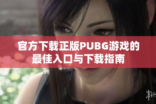 官方下载正版PUBG游戏的最佳入口与下载指南