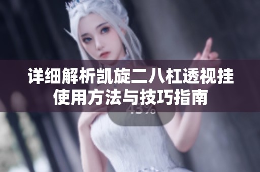 详细解析凯旋二八杠透视挂使用方法与技巧指南