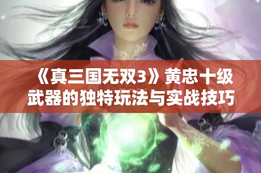 《真三国无双3》黄忠十级武器的独特玩法与实战技巧解析