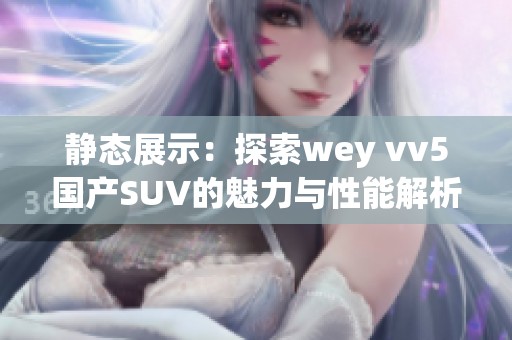 静态展示：探索wey vv5国产SUV的魅力与性能解析