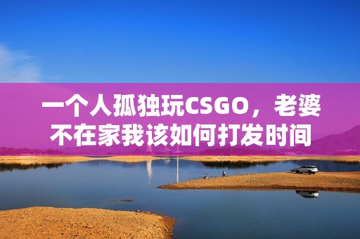 一个人孤独玩CSGO，老婆不在家我该如何打发时间