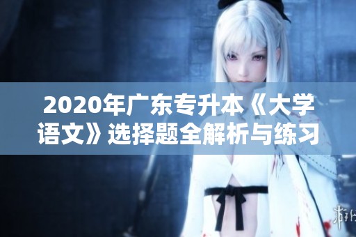 2020年广东专升本《大学语文》选择题全解析与练习指南