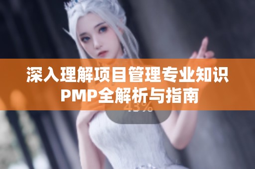 深入理解项目管理专业知识 PMP全解析与指南