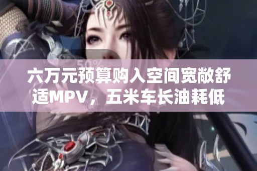 六万元预算购入空间宽敞舒适MPV，五米车长油耗低的完美选择