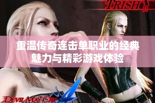 重温传奇连击单职业的经典魅力与精彩游戏体验