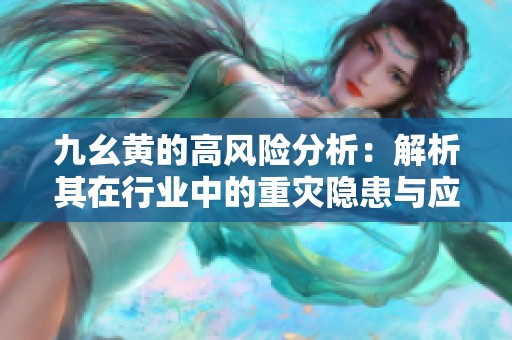 九幺黄的高风险分析：解析其在行业中的重灾隐患与应对策略