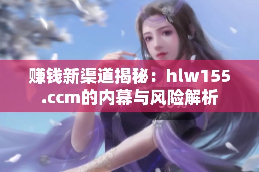 赚钱新渠道揭秘：hlw155.ccm的内幕与风险解析