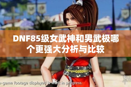 DNF85级女武神和男武极哪个更强大分析与比较