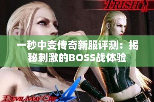 一秒中变传奇新服评测：揭秘刺激的BOSS战体验