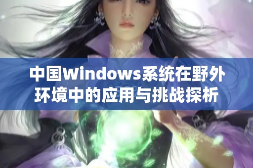 中国Windows系统在野外环境中的应用与挑战探析