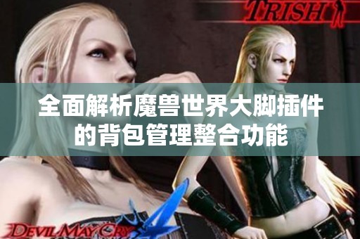 全面解析魔兽世界大脚插件的背包管理整合功能