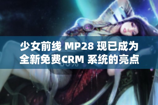 少女前线 MP28 现已成为全新免费CRM 系统的亮点选择