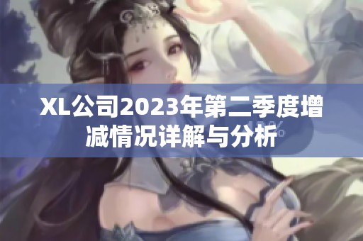 XL公司2023年第二季度增减情况详解与分析