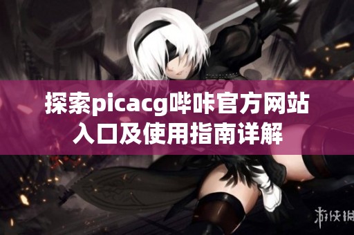 探索picacg哔咔官方网站入口及使用指南详解