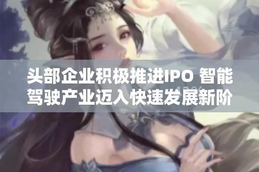 头部企业积极推进IPO 智能驾驶产业迈入快速发展新阶段