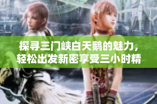探寻三门峡白天鹅的魅力，轻松出发新密享受三小时精彩游玩攻略