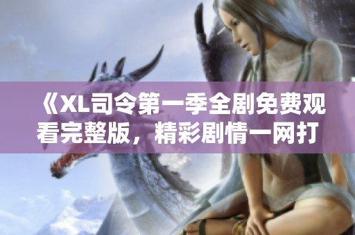 《XL司令第一季全剧免费观看完整版，精彩剧情一网打尽》