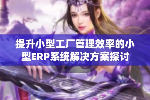 提升小型工厂管理效率的小型ERP系统解决方案探讨