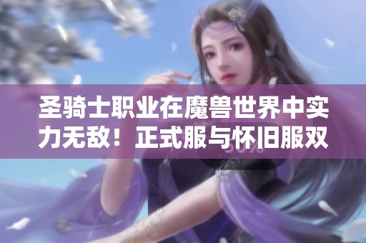 圣骑士职业在魔兽世界中实力无敌！正式服与怀旧服双双领先解析