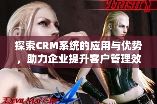 探索CRM系统的应用与优势，助力企业提升客户管理效率