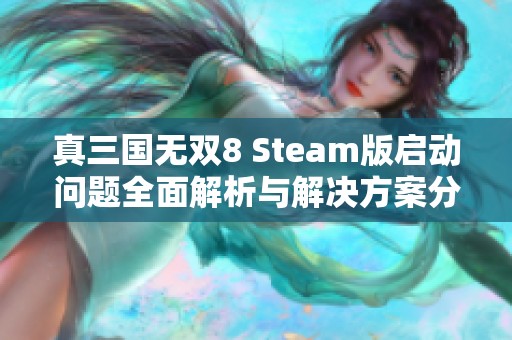 真三国无双8 Steam版启动问题全面解析与解决方案分享