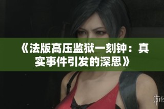 《法版高压监狱一刻钟：真实事件引发的深思》