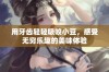 用牙齿轻轻吸咬小豆，感受无穷乐趣的美味体验