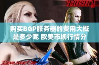 购买BGP服务器的费用大概是多少呢 欧美市场行情分析