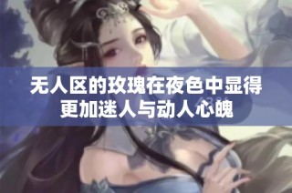 无人区的玫瑰在夜色中显得更加迷人与动人心魄