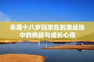 未满十八岁玩家在刺激战场中的挑战与成长心得