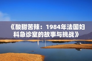 《酸甜苦辣：1984年法国妇科急诊室的故事与挑战》